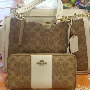 Authentic Coach bag dreamer edition